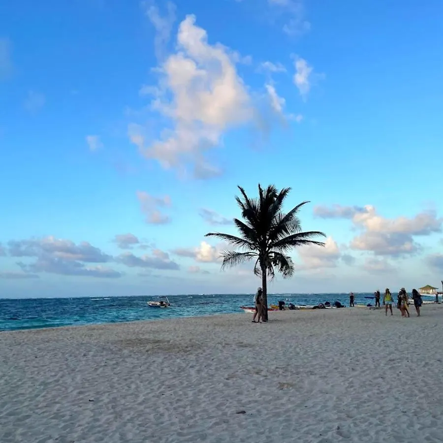 شقة Apartamento Vacacional En Sun Rise San Andres Con Playa Privada